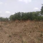 Land measuring 1609.62sqm for sale at Life Camp, Abuja. Price: ₦120 million. Available for inspection and purchase.