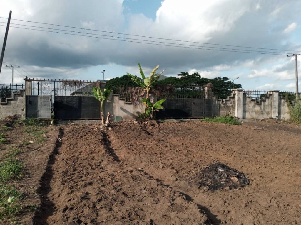 Land measuring 1,129 hectare, fenced and gate. Located at Udo Udoma, Uyo. Selling for ₦500,000,000 Now available for inspection and purchase. Site title Title Separator