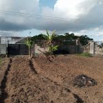 Land measuring 1,129 hectare, fenced and gate. Located at Udo Udoma, Uyo. Selling for ₦500,000,000 Now available for inspection and purchase. Site title Title Separator