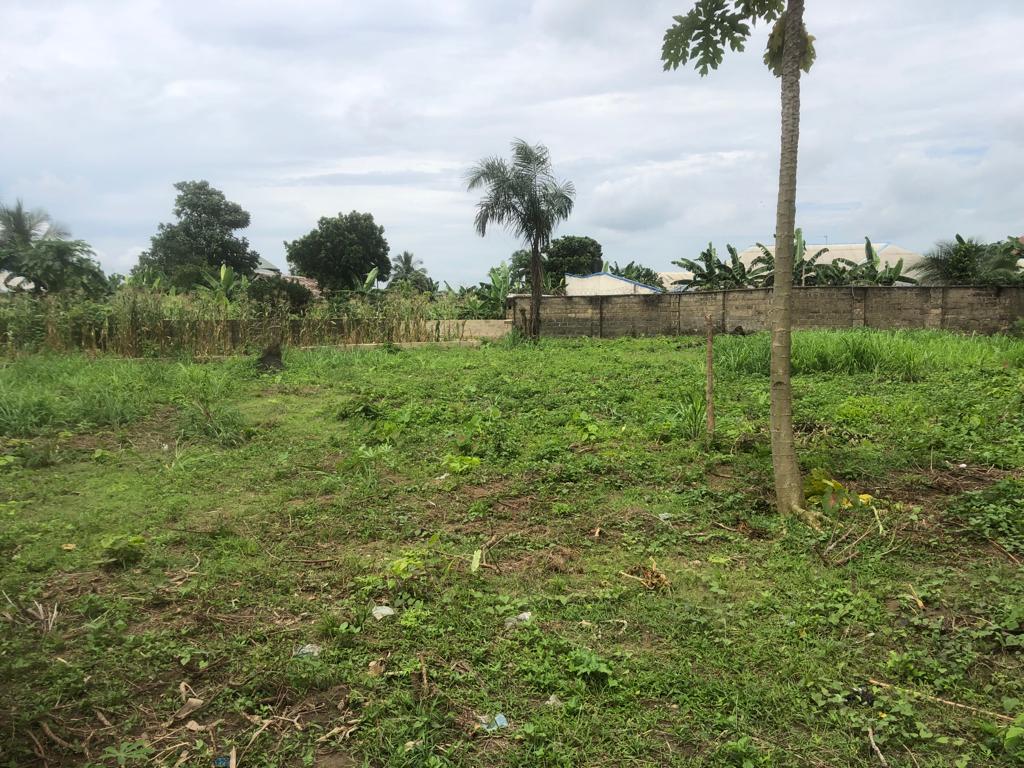 Landed measuring 2004sqm for sale at Udo Ekpo Mkpo, Off Nwaniba, Uyo Akwa Ibom. Selling for ₦25,000,000. Available for inspection and purchase.