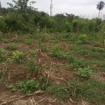 Land measuring 460.406 sqm at Shelter Afrique, Uyo Akwa Ibom selling for ₦15,000,000. Available for inspection. Price: ₦15M (asking amount)