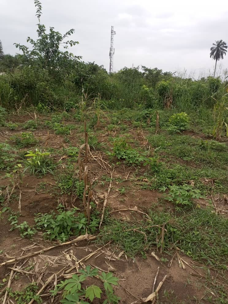 Now selling!!! Land measuring almost an hectare in a commercial environment available at Oron Road, Uyo Akwa Ibom, selling for ₦60million.