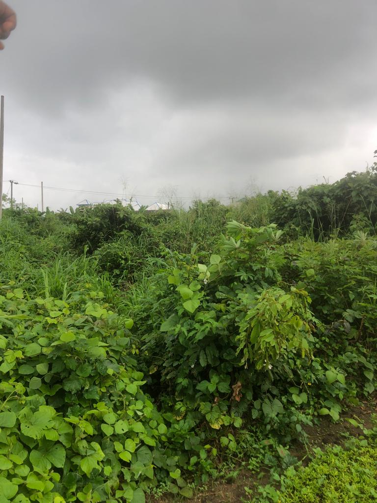 Lands measuring 460sqm available for sale along Airport Road Uyo Akwa Ibom, selling for ₦1,000,000. Payment Plan: Initial Deposit_₦250,000