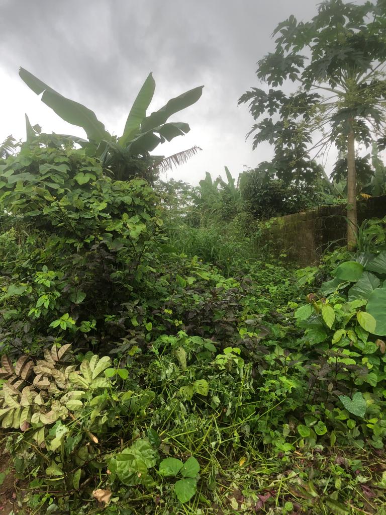 Land measuring 2051sqm available for sale along Stadium Road Uyo Akwa Ibom. Selling for ₦30 million. Available for inspection and purchase.