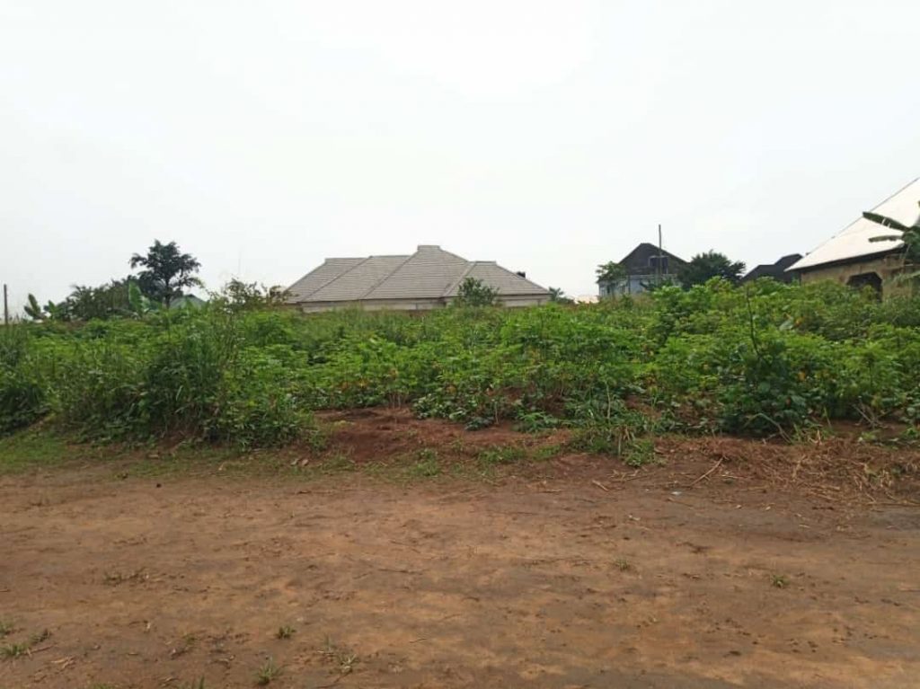 Land measuring 771.620sqm available for sale off Oron Road Uyo, Akwa Ibom. Selling for ₦7,000,000. Surveyed with title papers. Now selling!