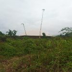 land for sale at mbikpong estate