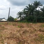 A massive land measuring over 5000sqm for sale at Ndon Ebom (Airport Road) Uyo Akwa Ibom, sitting on the tarred road. Selling for ₦20,000,000