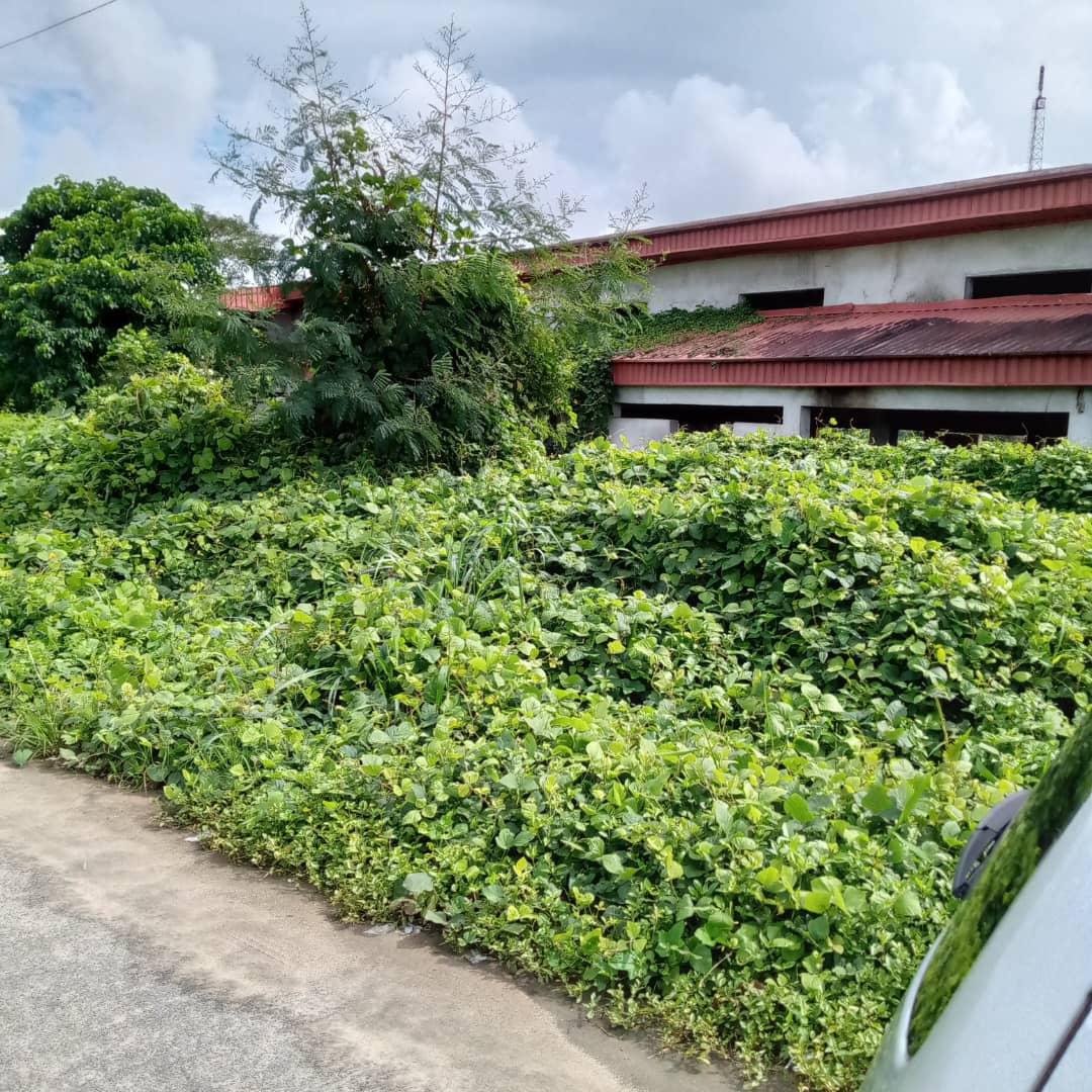 Land with Warehouse for Sale | Uyo