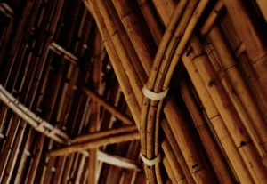  HOW TO CARE FOR BAMBOO FOR BUILDING 
