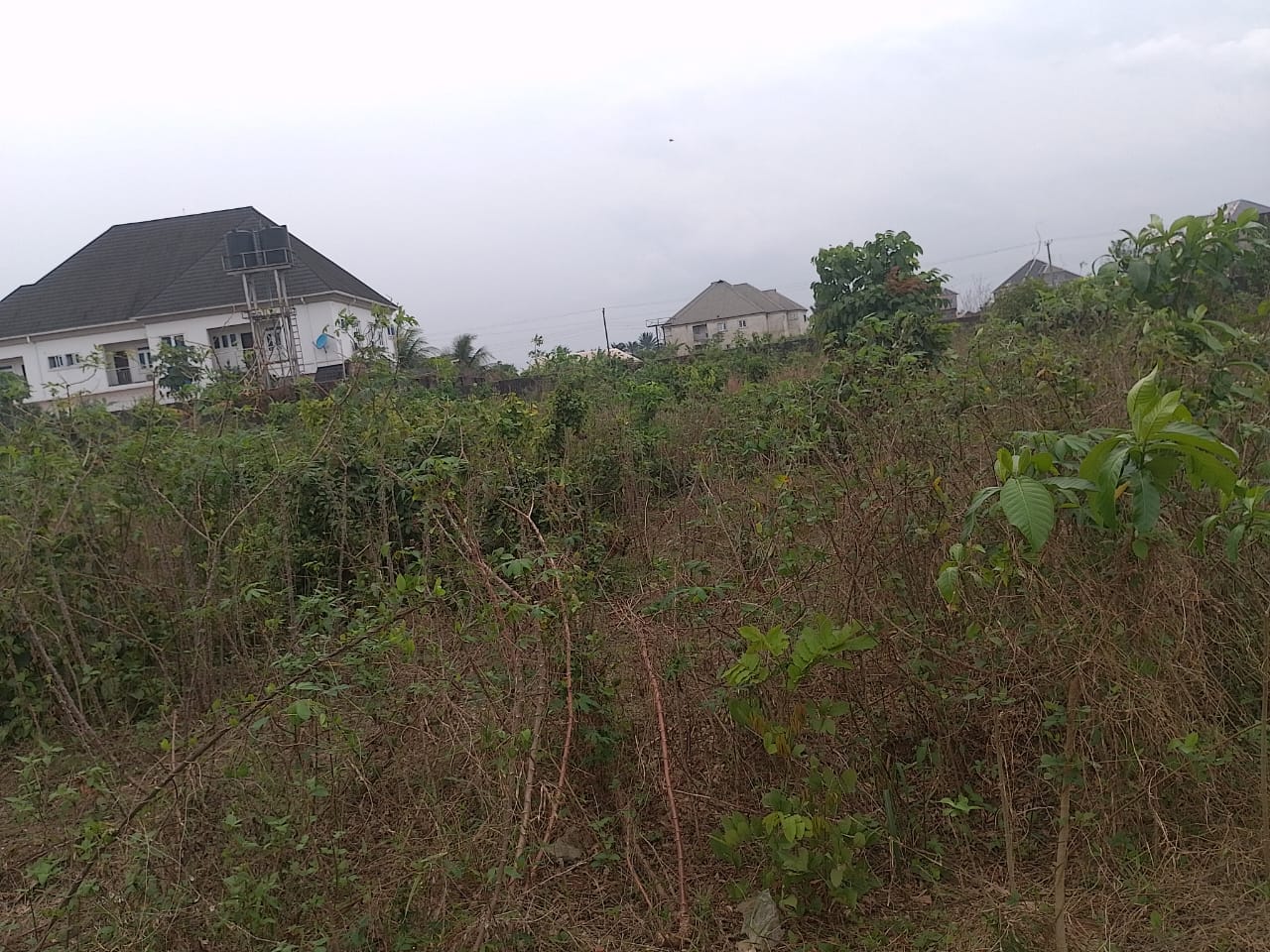 1200 sqm of land in Shelter Afrique | for Sale