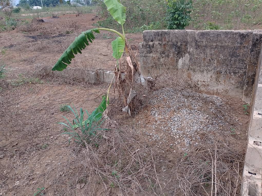 2200 sqm land with dwarf fence for sale | Uyo