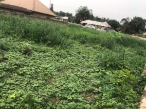 Fenced Round Land for Sale in Ekom Iman