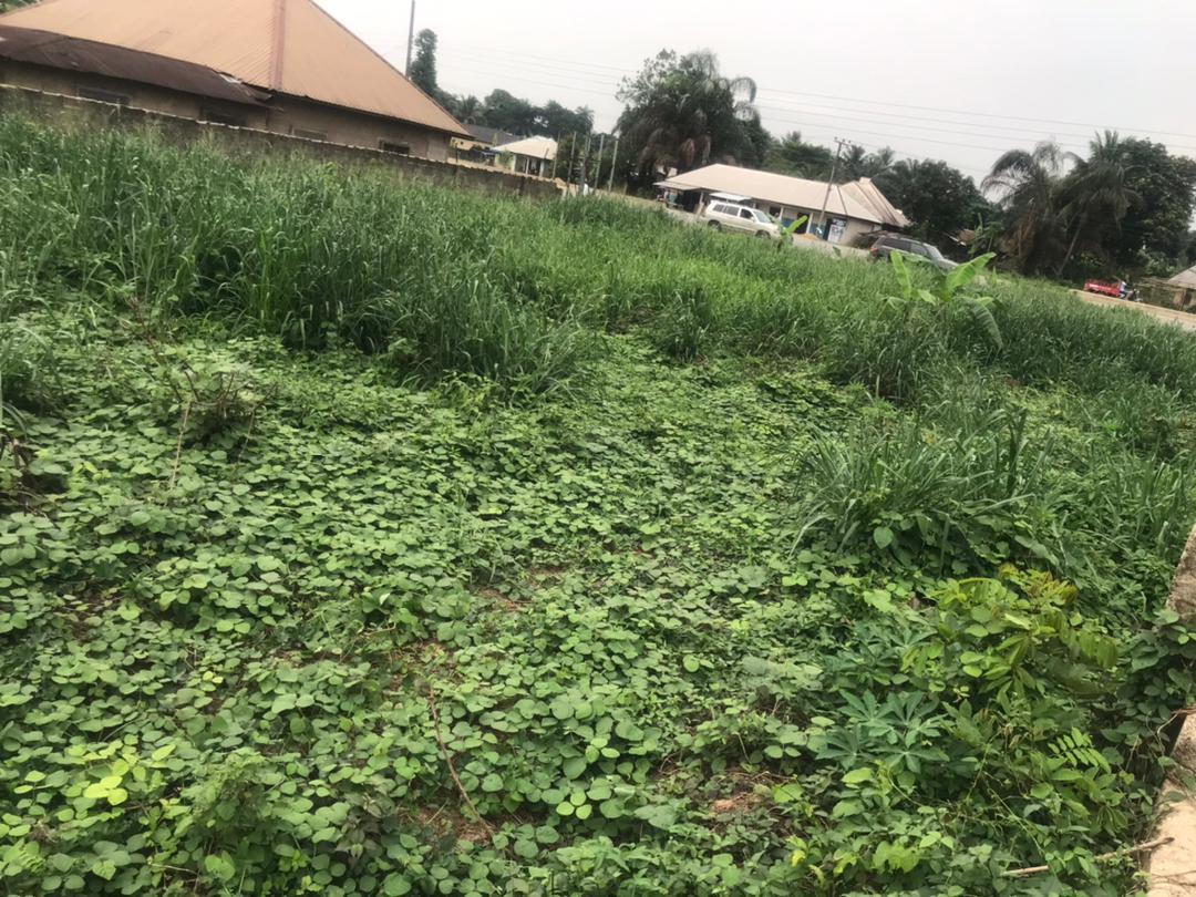 Fenced Round Land for Sale in Ekom Iman (Video)